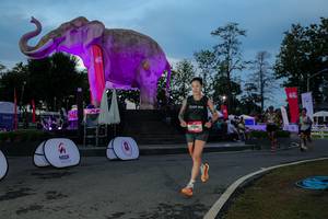 BIB: 
                            <button type="button" onclick="openModal(26529675)" class="btn btn-primary btn-sm float-right btn-popup" data-toggle="modal" data-target=".modal-high-quality">
                        <i class="fas fa-shopping-cart"></i> Add to Cart
                    </button>
                                            <button type="button" onclick="isThisMe(26529675, true)" class="btn btn-success btn-sm float-right btn-popup btn-isme hidden" data-toggle="tooltip" data-placement="bottom" title="นี่คือรูปของคุณใช่ไหม คลิกที่นี่เพื่อเอาเข้าอัลบั้ม">
                        <i class="fas fa-plus"></i> Add to album
                    </button>
                    <button type="button" onclick="isThisMe(26529675, false)" class="btn btn-warning btn-sm float-right btn-popup btn-isnotme hidden">
                        <i class="fas fa-ban"></i> Remove from album
                    </button>